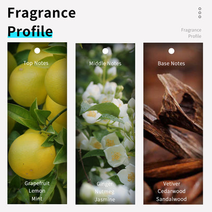 Cross-border foreign trade perfume vilily manufacturer direct sales, 100ML full-size hot-selling products, best-selling in many countries, men's and women's perfume